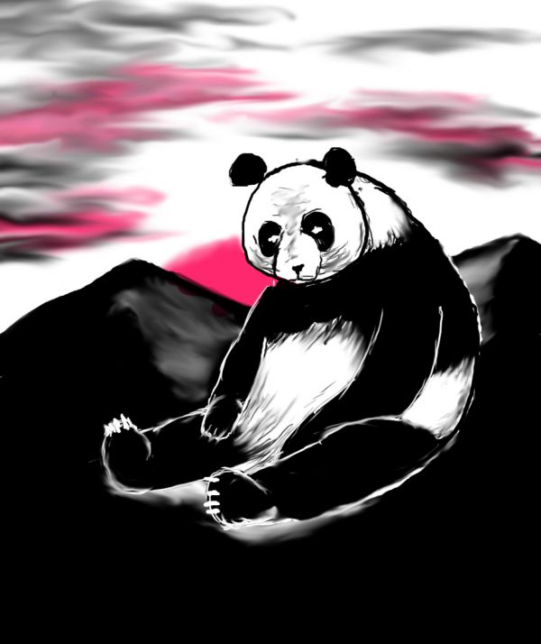 Creation of Panda: Final Result